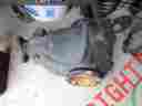 1010 Mercedes Benz 2002 E430 Rear Differential Carrier Assembly