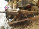 400.fd1s49 1949 Ford Manual Transmission 3-speed
