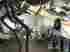 T12tj111261429 Mopar 2013 Dodge Challenger 6.4 Hemi Transmission Nag1 6k Miles Oem