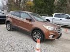 Automatic Transmission 1.5L 2WD Fits 17-19 Escape 2764083. Fixed Price $1314.00.