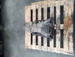 Used Automatic Transmission Assembly Fits: 2004 Jeep Wrangler 4.0 Grade. Fixed Price $1642.75.
