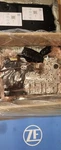 Original Bmw ZF8HP45X,ZF8HP70X Transmission Mechatronic Year 2010-2014 (oe New). Fixed Price $3800.00.