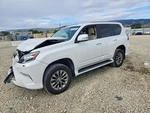 Automatic Transmission Fits 10-23 Lexus GX460 11763219. Fixed Price $4025.00.