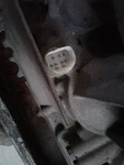 Automatic Transmission 8-302 5.0L 4WD Fits 96-97 Explorer 27770. Fixed Price $424.80.