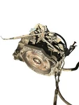 03 04 Pontiac Vibe Transmission Tranny TRANS1.8 Automatic Tested. Fixed Price $699.95.