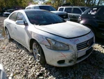 Automatic Transmission Cvt Fits 11-14 Maxima 2177912. Fixed Price $1328.69.