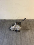 2023 Toyota 4RUNNER Trd Automatic Transmission Transfer Case Oem. Fixed Price $899.00.