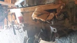 Manual Transmission Fits 02-04 Alero 846977. Fixed Price $570.00.