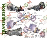 Automatic Transmission 5R55E 6-245 4.0L 2WD Fits 04-06 Ranger 9310. Fixed Price $1500.00.
