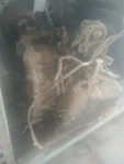 Automatic Transmission 2.4L Cylinder Convertible Fits 00-01 Eclipse 18904. Fixed Price $375.00.
