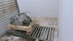 Used Automatic Transmission Assembly Fits: 2013 Dodge Dart 2.0 Grade. Fixed Price $328.12.