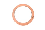 New Oem Ford F2TZ-7B164-A Forward Friction Plate Nos. Fixed Price $9.99.