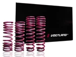 Vogtland German Lowering Springs Fits 97-04 Mercedes Slk Chrysler Crossfire SRT6. Fixed Price $229.95.