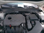 2016 Kia Optima Automatic Transmission Assembly Oem 95K Miles Fwd White. Fixed Price $440.00.
