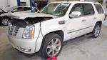 Cadillac Escalade Automatic Hybrid Transmission Oem 142K Miles - LKQ455525032. Fixed Price $1945.10.