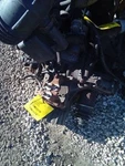 2000-2004 Kia Spectra Manual Transmission Fits 1.8L Cylinder. Fixed Price $475.00.
