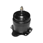 For Honda Accord 1995-1997 Westar EM-9178 Front Engine Mount. Fixed Price $104.52.