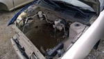 Automatic Transmission 2.2L From 6/16/04 Build Date Fits 05 Cavalier 523663. Fixed Price $585.06.