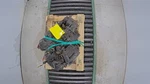 Used Automatic Transmission Assembly Fits: 2007 Kia Sportage 2.7L 6 Cylinder. Fixed Price $457.00.