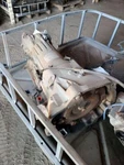 Automatic Transmission 4WD Fits 99 Sunrunner 1029861. Fixed Price $655.11.