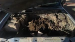 Manual Transmission 4WD 6-183 3.0L Id F87A-DA Fits 98-04 Ranger 32534073. Fixed Price $795.33.