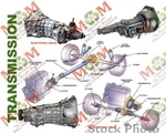 Manual Transmission 2.2L 4 Cylinder 2WD Fits 98-99 Isuzu Amigo 83369. Fixed Price $466.00.