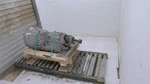2017 Jaguar Xe Automatic Transmission Assembly Oem 68K Miles Grey GX737000DB. Fixed Price $517.00.