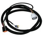 Msd 2771 Harness, Gm 4L70 (2009-UP). Fixed Price $179.00.