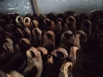 Used 1760 Series Dana Spicer 16 Spline Yoke 6.3-4-231. Fixed Price $225.00.