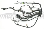 Mini Cooper 1.6L Supercharged Engine / Ecu Wiring Loom - Manual R50 R52 R53. Fixed Price $160.04.