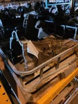 Manual Transmission Vin 8TH Digit 1.8L Fwd Fits 00-02 Audi A4 650303. Fixed Price $604.71.
