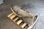2021 Dodge Durango Hellcat Srt 6.2L Oem 8HP-95 Automatic Transmission Assy 31K. Fixed Price $5499.99.