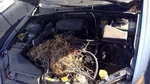 Automatic Transmission Outback 2.5L Canada Emissions Fits 05 Legacy 458371. Fixed Price $675.02.