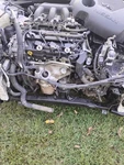 Used Automatic Transmission Assembly Fits: 2016 Nissan Maxima Cvt Grade. Fixed Price $1300.00.