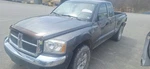 2005 Dodge Dakota Automatic Transmission Oem 72K Miles - LKQ447190763. Fixed Price $1680.10.