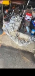 2004 Monte Carlo 3.8L 4T65E Automatic Transmission 98K Miles Tested W/ Tc. Fixed Price $900.00.