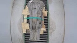 Used Automatic Transmission Assembly Fits: 2008 Infiniti EX35 4X4 Awd From 3/. Fixed Price $376.24.