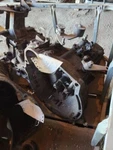Manual Transmission 2.0L Fits 99-00 Elantra 653994. Fixed Price $604.71.