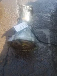 Automatic Transmission Speed Fits 96-97 Sunrunner 32046058. Fixed Price $530.68.